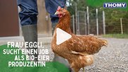 Wird Frau Egli den Job bei Bauer Debrunner kriegen?...(Bild: zVg)