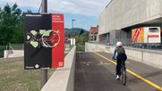 Die neue «Velovorzugsroute» zieht einen roten Faden durch die Stadt... (Bild zVg)