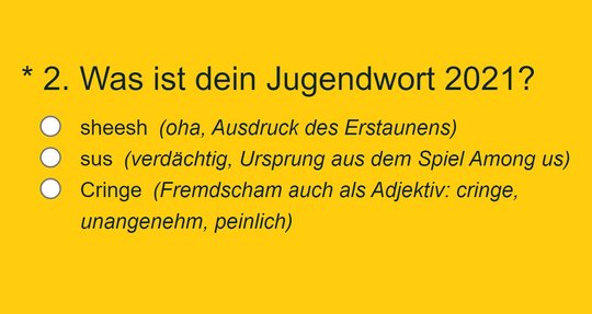 Welches Wort das Jugendwort des Jahres wird, wird am 25. Oktober bekanntgegeben... (Bild: Screenshot langenscheidt.com)