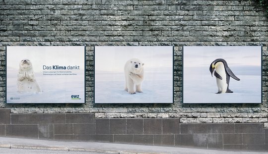 Robbe, Eisbär und  Pinguin verneigen sich: grossformatige Bildergalerie an der Zürcher Weinbergstrasse...