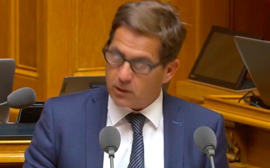 Bundeskanzler Walter Thurnherr: «Es geht nicht darum, dass der Bundesrat seine Kompetenzen bei der Formulierung der Abstimmungsfrage schützen möchte...»           (Bild Screenshot parlament.ch)