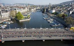 Erdinger, Chiquita und Suva am Marathon