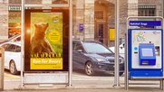 Der «Run for Bears» sammelt Geld für den Bären, die APG, Goldbach und Livesystems unterstützen die Aktion...       (Bild zVg)