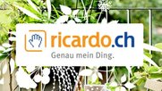 Zustimmungszwang der AGB von Ricardo