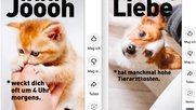 «Bereit für ein Haustier?»: Die neue Kampagne zeigt Schattenseiten der Tierhaltung... (Bild: Screenshot Youtube)