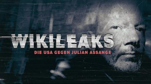 US-Haftbedingungen: Julian Assange könnte sich in Isolationshaft das Leben nehmen...             (Bild: ARD)