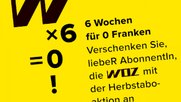 Wunsch-WOZ-Klein-Report