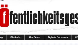 Verein-Offentlichkeitsgestz-Klein-Report