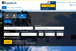 Klein_Report_Expedia