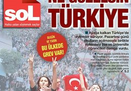 Sol-Hafize-Kazci-Klein-Report