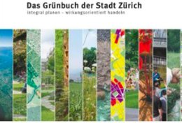 Das erste «Grünbuch» erschien 2006