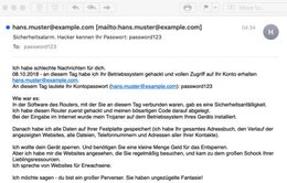 Fake-Sextortion: «Bist ein grosser Perverser»