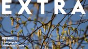 extra