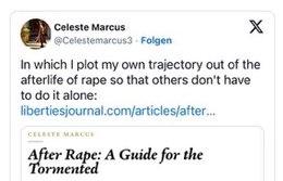 Die Journalistin schrieb über ihren Fall (X, CM)