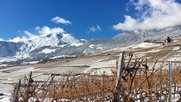 Mit 9 Millionen Franken greift der Bund der Wein-Vermarktung 2023 unter die Arme. Das muss genügen, findet die Wirtschaftskommission des Ständerats. (Bild © swisswine.ch)