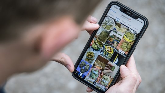 Reporter Benjamin Fisch deckt während sieben Folgen auf, wie das digitale Drogengeschäft in der Schweiz via Telegram & Co. funktioniert...              (Bild: Blick TV)