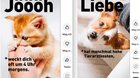 «Bereit für ein Haustier?»: Die neue Kampagne zeigt Schattenseiten der Tierhaltung... (Bild: Screenshot Youtube)