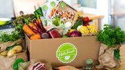 HelloFresh-Samwer-Klein-Report