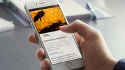 instant_Article-Klein_Report