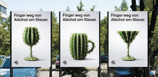 Ruf Lanz hat die BFU-Unfallforschung prägnant auf den Punkt gebracht… (Bild: Ruf Lanz/zVg)