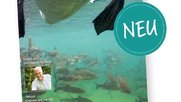 Thunersee-Liebi-Klein-Report