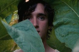 Ausschnitt aus dem Film «Lazzaro felice»