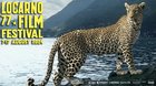 Locarno-Leopard schleicht vielleicht bald im Hochsommer elegant durchs Tessin...    (Bild Filmfestival Locarno/©Annie Leibovitz)