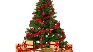 Klein-Repot-frohe-Weihnachten