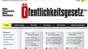 verein-oeffentlichkeitsgesetz-klein-report