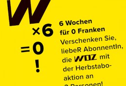 Wunsch-WOZ-Klein-Report