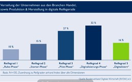 Klein_Report_Reifegrade_BVDW