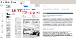 Beispiel eines Management Summary