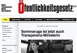 Offentlichkeitsgesetz-Bundesverwaltung-Klein-Report