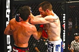 Mixed Martial Arts: Erlaubt ist fast alles