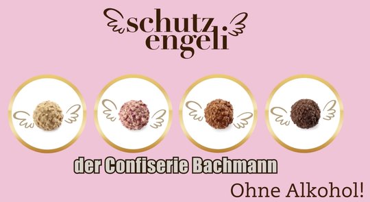 Bachmann setze auf «nachhaltiges Wachstum und die Erschliessung neuer Zielgruppen»...   (Bild Sreenshot/Bachmann-Video)