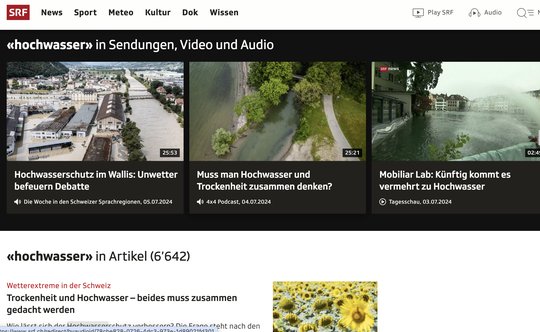 Algorithmen-getriebener Anti-Informationsjournalismus: «Hochwasser» kommt auf 6642 Artikel, «Gender» auf 43’546 Artikel, «Trump» erhält 21’675 Artikel und das Thema «Queer» erzielt 6903 Beiträge... (Bild: Screnshot SRF)