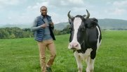 In der Swissmilk-Kampagne stellen Lovely und Charles Nguela fest, dass es «in der Schweiz echt viel Gras gibt» ... (Bild: Screenshot Werbespot von swissmilk)