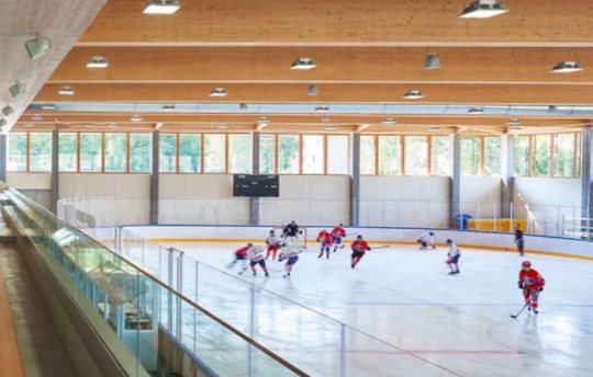 Sportvereine sollen Sponsoren auch über die Loudspeaker danken dürfen... (Bild: zuerich.com / Sreenshot Klein Report)