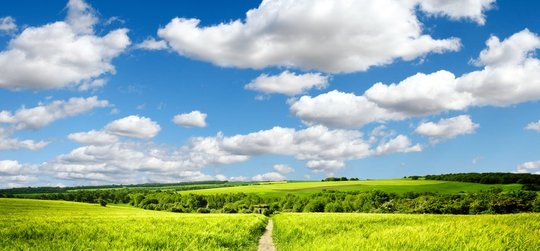 Bestnote A für die APG|SGA im Klimaschutz-Ranking...