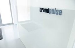 brandpulse-Logo-Klein_Report