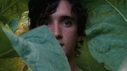 Ausschnitt aus dem Film «Lazzaro felice»