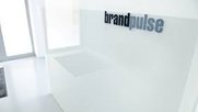 brandpulse-Logo-Klein_Report