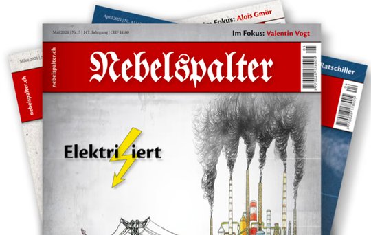 Mit neuer Website will das Satiremagazin die «bestmöglichen Resultate» herzaubern. (Bild Screenshot Klein Report)