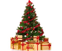 Klein-Repot-frohe-Weihnachten