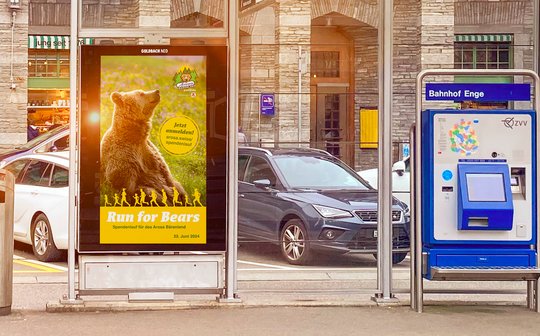 Der «Run for Bears» sammelt Geld für den Bären, die APG, Goldbach und Livesystems unterstützen die Aktion...       (Bild zVg)