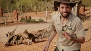 Für das Zoo-Zürich-Sponsoring von EWZ hat Jim & Jim ein Storytelling-Konzept entwickelt und umgesetzt... (Bild: zVg)