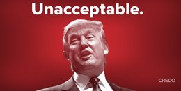 donald-trump-klein-report