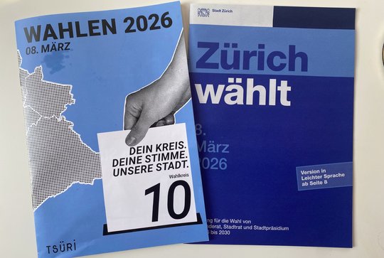 «Dafür, dass sich tsüri so für ein ökologische Zürich stark macht, ist so ein Auftrag in die Nähe von Bonn und Köln zu vergeben, nicht gerade vorbildlich»...   (Bild: zVg)