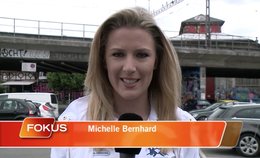 michelle-bernhard-klein-report
