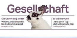 «Reduzierung auf das Wesentliche»